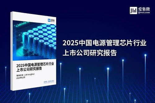 2025中国电源管理芯片行业上市公司研究报告 技术服务驱动产业升级