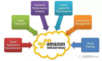 亚马逊FBA Onsite 外国版菜鸟裹裹的致命诱惑与技术服务